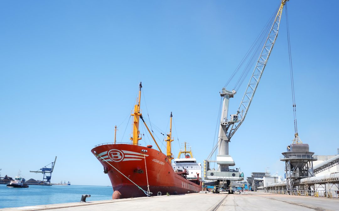 Els agroalimentaris continuen empenyen els tràfics del Port de Tarragona durant el juliol